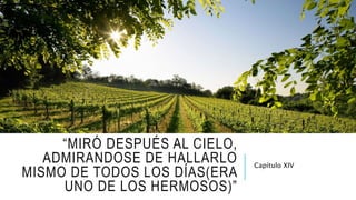 “MIRÓ DESPUÉS AL CIELO,
ADMIRANDOSE DE HALLARLO
MISMO DE TODOS LOS DÍAS(ERA
UNO DE LOS HERMOSOS)”
Capítulo XIV
 