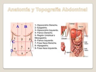 dolor-abdominal-pptx