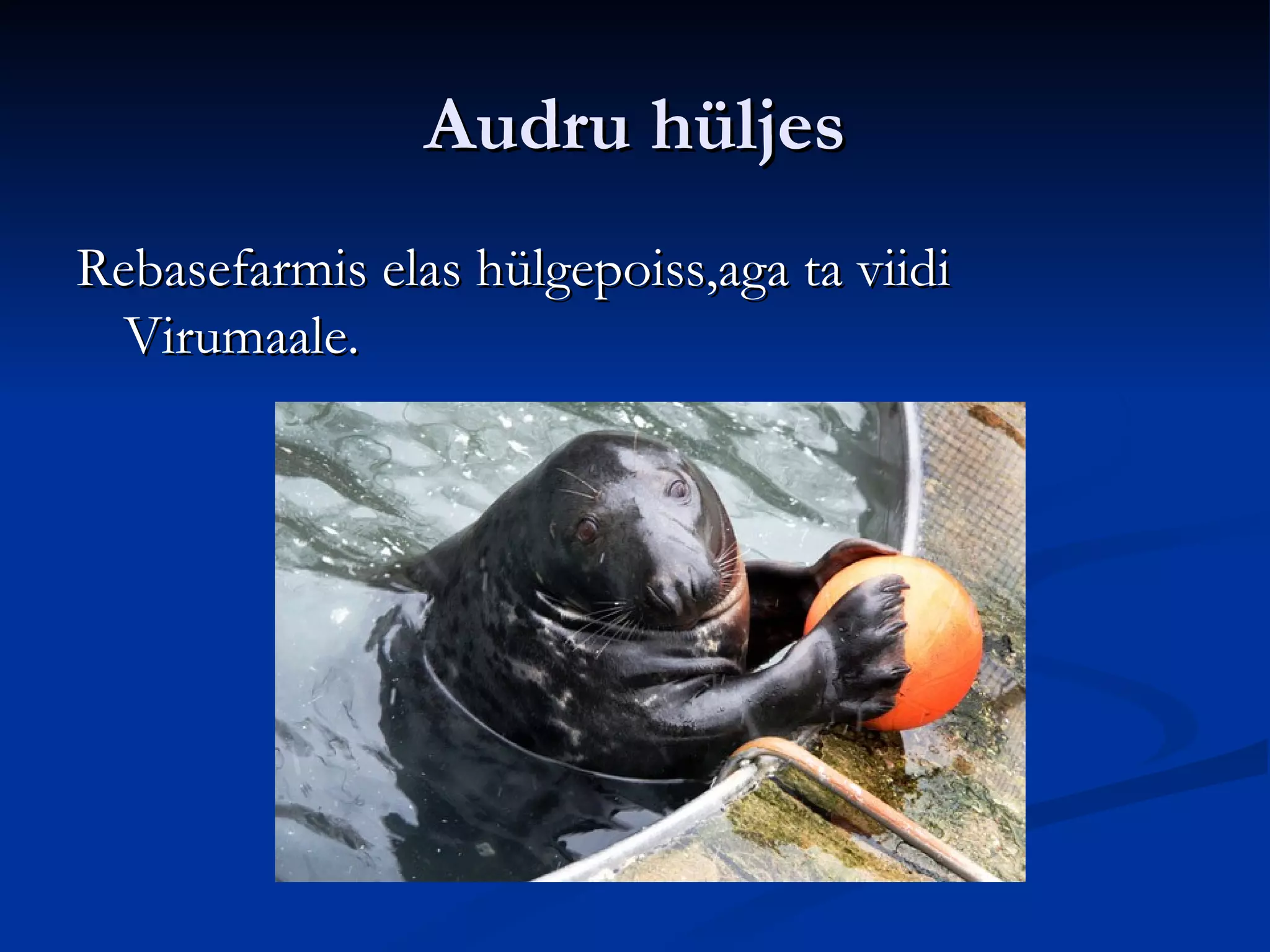 Audru vald | PPT
