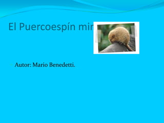 El Puercoespín mimoso


 Autor: Mario Benedetti.
 
