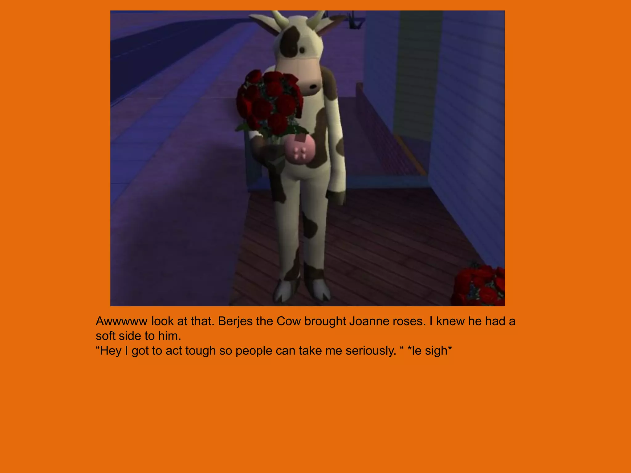 Awwwww look at that. Berjes the Cow brought Joanne roses. I knew he had a
soft side to him.
“Hey I got to act tough so people can take me seriously. “ *le sigh*
 