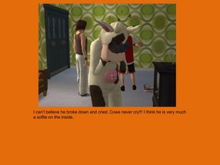 I can‟t believe he broke down and cried. Cows never cry!!! I think he is very much
a softie on the inside.
 