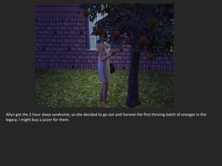 Allyn got the 2 hour sleep syndrome, so she decided to go out and harvest the first thriving batch of oranges in the
legacy. I might buy a juicer for them.
 