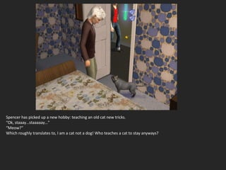 Spencer has picked up a new hobby: teaching an old cat new tricks.
“Ok, staaay…staaaaay…”
“Meow?”
Which roughly translates to, I am a cat not a dog! Who teaches a cat to stay anyways?
 