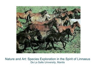 Nature and Art: Species Exploration in the Spirit of Linnaeus
De La Salle University, Manila
 