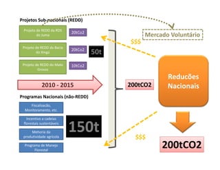 Projeto de REDD da RDS
20tC 2
Projetos Sub‐nacionais (REDD)
Projeto de REDD da RDS 
do Juma
Projeto de REDD da Bacia
do Xingú
20tCo2
20tCo2
50t
$$$
Mercado Voluntário
do Xingú
Projeto de REDD do Mato
Grosso
10tCo2
50t
R d õ
2010 ‐ 2015
P N i i ( ã REDD)
Reducões
Nacionais200tCO2
Fiscalizacão, 
Monitoramento, etc.
Programas Nacionais (não‐REDD)
Incentivo a cadeias
florestais sustentáveis
Mehoria da 
produtividade agrícola
150t $$$p g
Programa de Manejo
Florestal
$$$
200tCO2
 