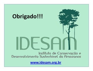 Obrigado!!!
www.idesam.org.br
 