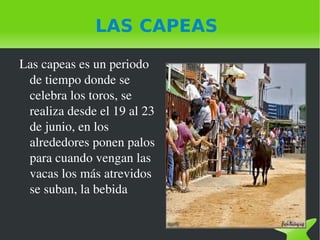 LAS CAPEAS Las capeas es un periodo de tiempo donde se celebra los toros, se realiza desde el 19 al 23 de junio, en los alrededores ponen palos para cuando vengan las vacas los más atrevidos se suban, la bebida  