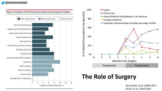 Lessons Learned from the U.S. Opioid Epidemic