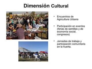 Dimensión Cultural
            • Encuentros de
              Agricultura Urbana

            • Participación en eventos
              (ferias de semillas y de
              economía social,
              congresos)

            • Jornadas de trabajo y
              participación comunitaria
              en la huerta.
 
