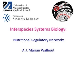 Interspecies Systems Biology:
Nutritional Regulatory Networks
A.J. Marian Walhout
 