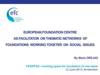 EUROPEANFOUNDATIONCENTRE
AS FACILITATOR ON THEMATICNETWORKS OF
FOUNDATIONS WORKING TOGETER ON SOCIAL ISSUES
By Maria OREJAS
FEANTSA - creating space for incubation of new ideas
12 June 2013, Amsterdam
 