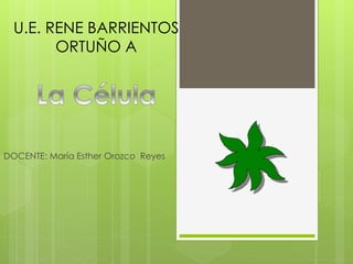 U.E. RENE BARRIENTOS
ORTUÑO A
DOCENTE: María Esther Orozco Reyes
 
