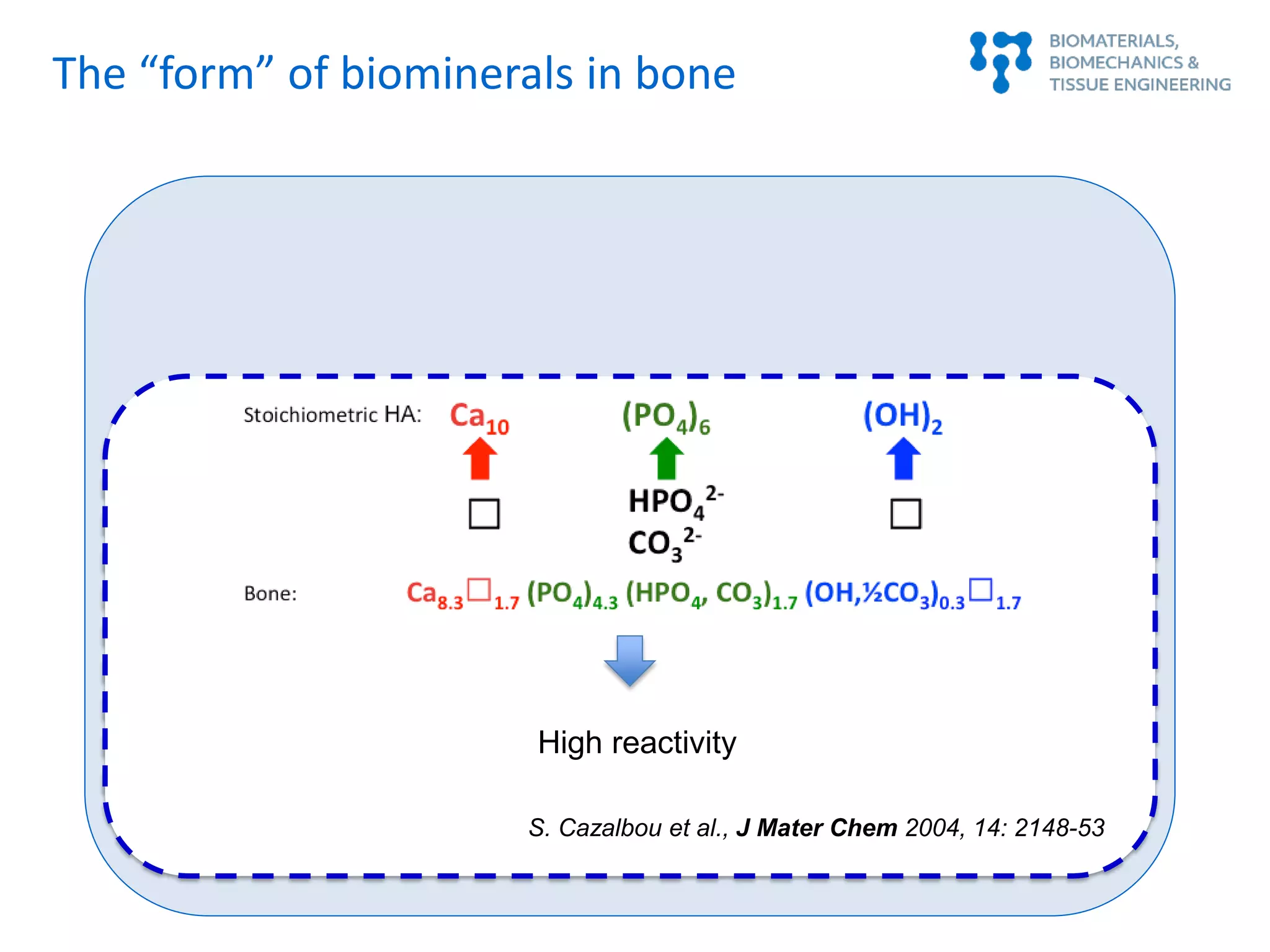 The “form” of biominerals in bone
HighHigh reactivity
S. Cazalbou et al., J Mater Chem 2004, 14: 2148-53
 