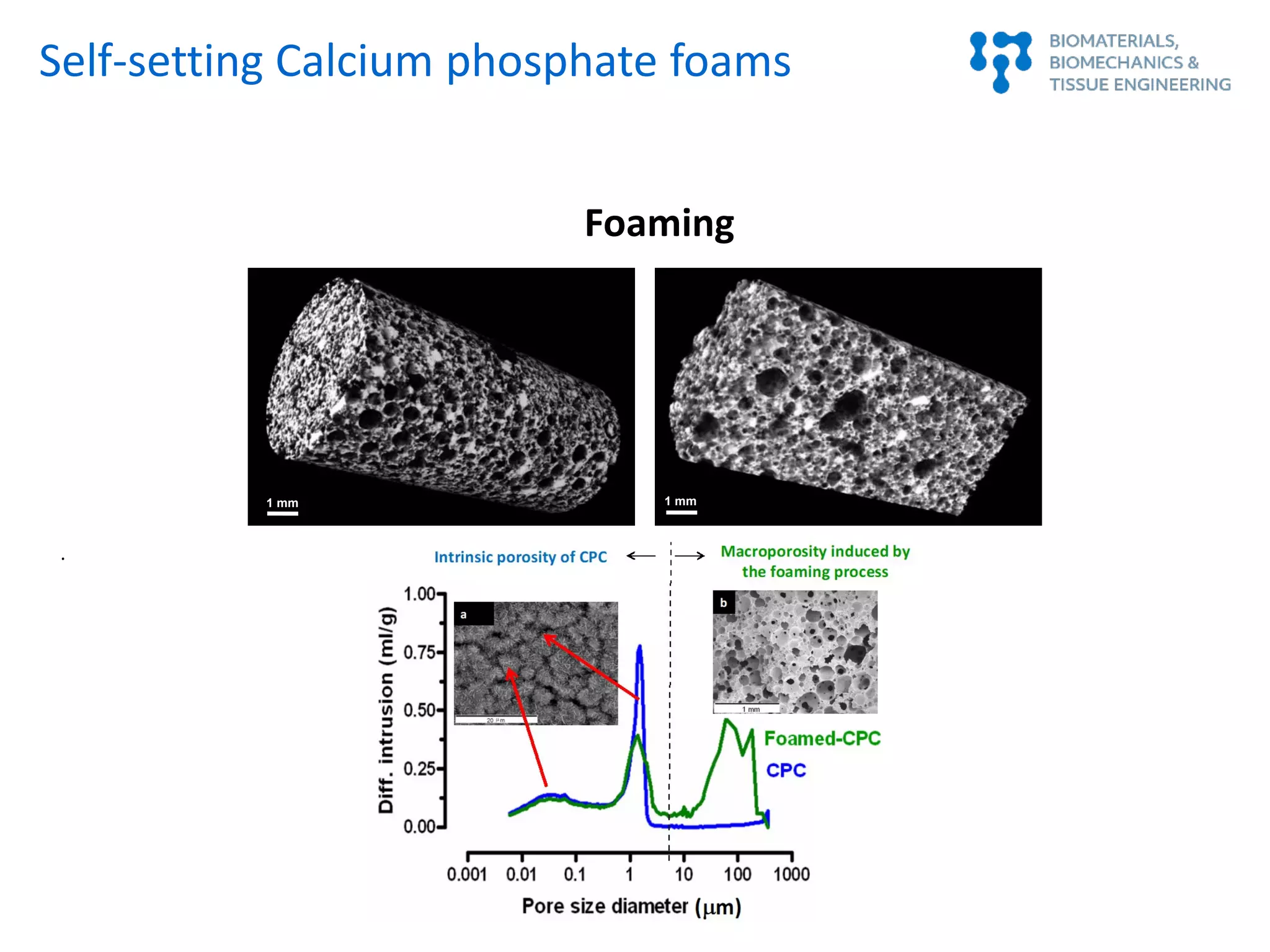 Foaming
.
1 mm 1 mm
Self-setting Calcium phosphate foams
 