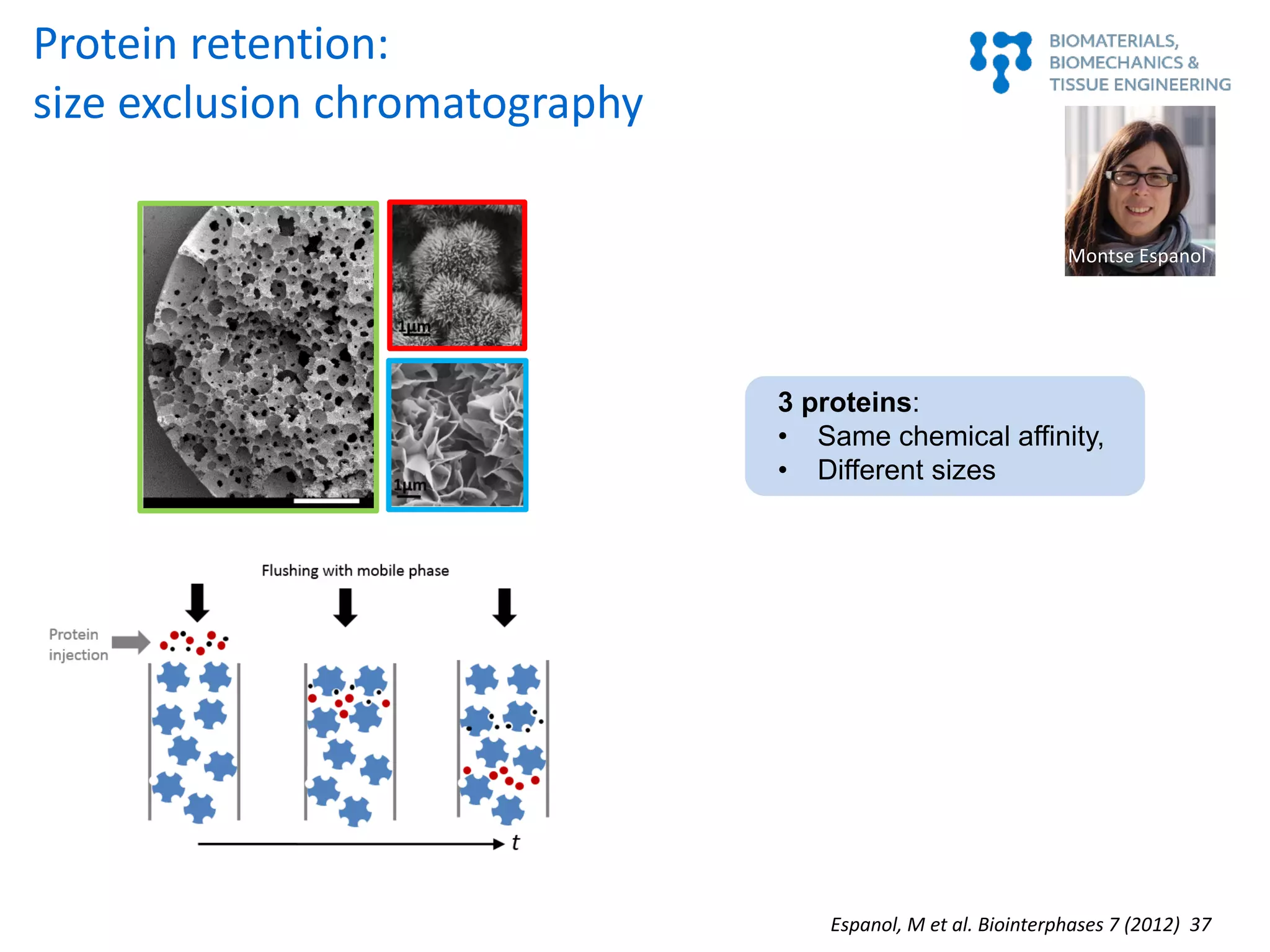 Espanol, M et al. Biointerphases 7 (2012) 37
Protein retention:
size exclusion chromatography
3 proteins:
• Same chemical affinity,
• Different sizes
Montse Espanol
 