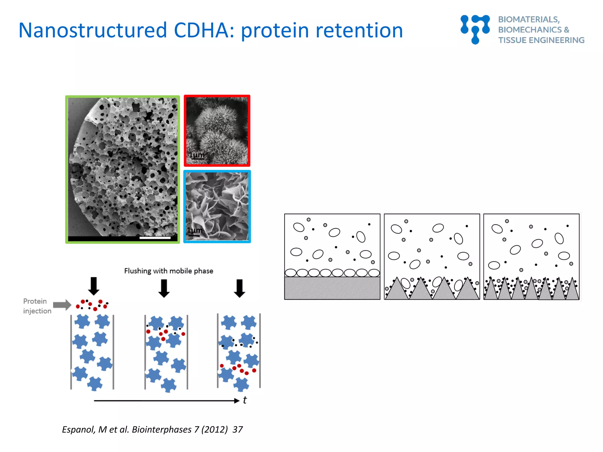 Espanol, M et al. Biointerphases 7 (2012) 37
Nanostructured CDHA: protein retention
 