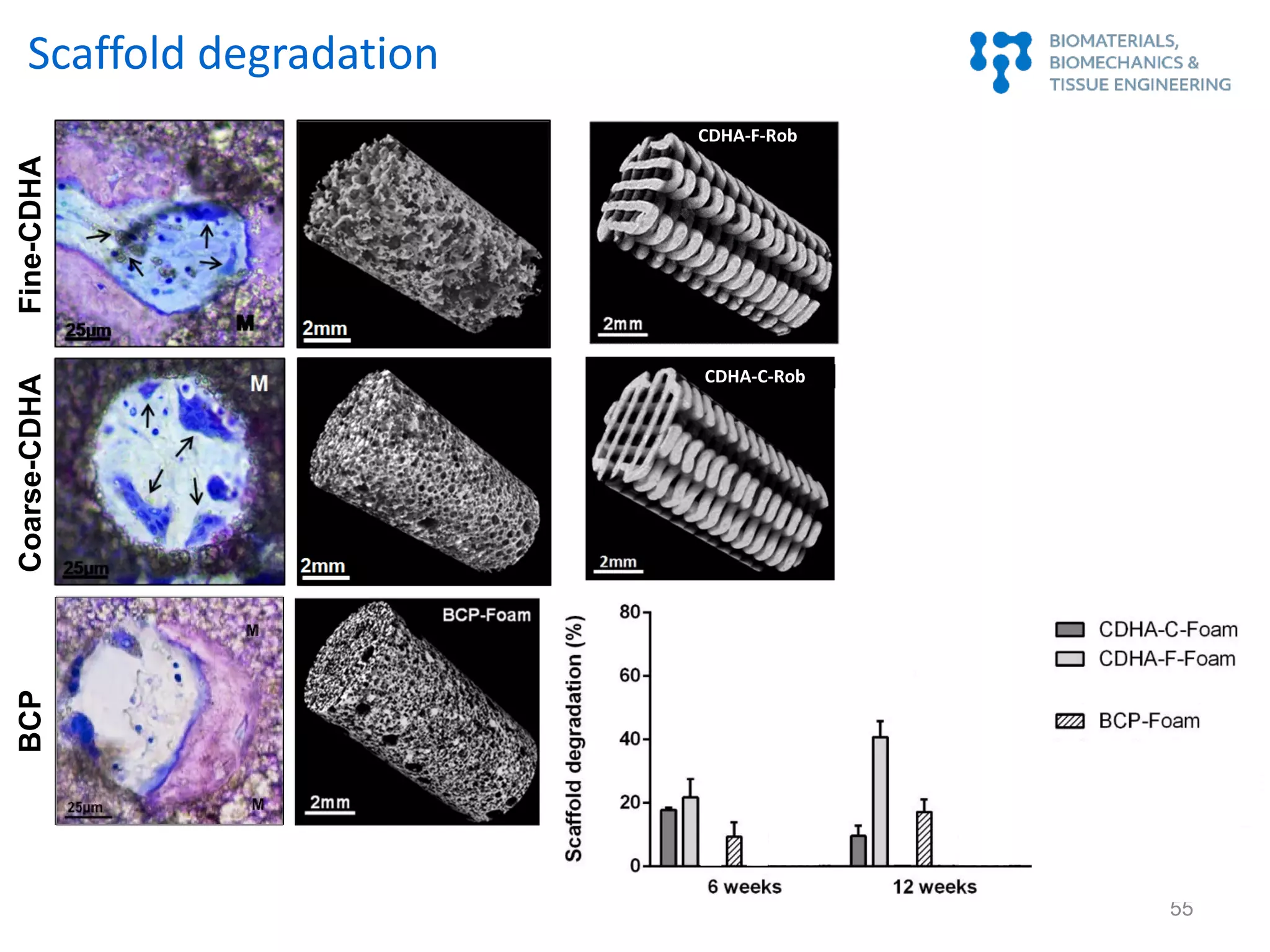 Fine-CDHACoarse-CDHA
Scaffold degradation
CDHA-F-Rob
55
BCP
CDHA-C-Rob
 