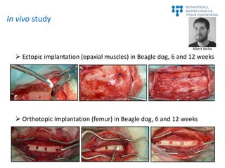  Ectopic implantation (epaxial muscles) in Beagle dog, 6 and 12 weeks
 Orthotopic Implantation (femur) in Beagle dog, 6 ...