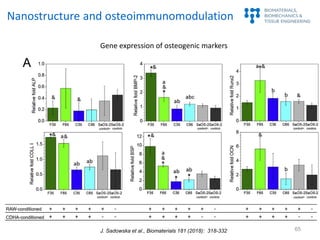 65
Gene expression of osteogenic markers
Nanostructure and osteoimmunomodulation
J. Sadowska et al., Biomaterials 181 (201...