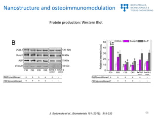 66
Protein production: Western Blot
Nanostructure and osteoimmunomodulation
J. Sadowska et al., Biomaterials 181 (2018): 3...