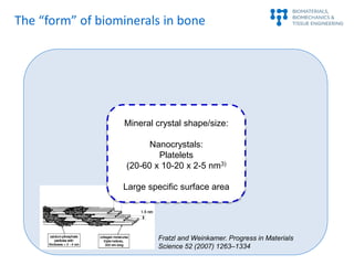The “form” of biominerals in bone
Fratzl and Weinkamer. Progress in Materials
Science 52 (2007) 1263–1334
Mineral crystal ...