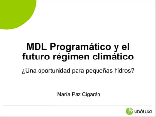 MDL Programático y el
futuro régimen climático
¿Una oportunidad para pequeñas hidros?


           María Paz Cigarán
 