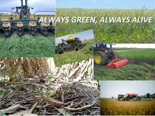 ALWAYS GREEN, ALWAYS ALIVE
 