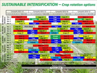 Pastura consociada
Pastura alfalfa
SUSTAINABLE INTENSIFICATION – Crop rotation options
Rot. 1
Rot. 2
Rot. 3
Rot. 4
Campaña 2011-12 Campaña 2012-13 Campaña 2013-14 Campaña 2014-15
J A S O N D E F M A M J J A S O N D E F M A M J J A S O N D E F M A M J J A S O N D E F M A M J
LasMatreras
Baradero
SanNicolás
Rosario
LaMatilde
Salto
LaLucila
Pergamino
Carmen
Gral.López
Rot. 1
Rot. 2
Rot. 3
Rot. 4
Rot. 1
Rot. 2
Rot. 3
Rot. 4
Rot. 1
Rot. 2
Rot. 3
Rot. 4
Rot. 1
Rot. 2
Rot. 3
Maíz 2º
Soja 2º
Maíz 1º
Soja 2º
Sorgo 1º
Soja 2º
Maíz 2º
Sorgo 2º
Soja 2º
Maíz 2º
Sorgo 2º
Maíz 2º
Soja 2º
Soja 2º
Maíz 2º
Sorgo 2º
Soja 1º
Arveja Soja 2º
Maíz 1º
Trigo Maíz 2º
Vicia villosa Maíz 2º
Maíz 1º
Trigo Soja 2º
Trigo Maíz 2º
Sorgo 1º
Trigo Soja 2º
Vicia villosa Maíz 2º
Cebada Maíz 2º
Maíz 1º
Cebada Maíz 2º
Cebada Maíz 2º
Trigo Soja 2º
Trigo Soja 2º
Sorgo 2ºTrigo
Maíz 2º
Trigo Soja 2º
Trigo Maíz 2º
Trigo Soja 2º
Cebada
Sorgo 1º
Trigo Soja 2º
Soja 1º
Maíz 2ºArveja
Sorgo 2º
Maíz 2ºArveja
Maíz 2ºArveja
Trigo Sorgo 2º
Trigo Soja 2º
Soja 1º
Trigo Soja 2º
Trigo Sorgo 2º
Maíz 2ºTrigo
Maíz 1º
Cebada Maíz 2º
Trigo Soja 2º
Maíz 1º
Arveja Soja 2º
Maíz 1º
Trigo Maíz 2º
Vicia villosa Maíz 2º
Trigo Soja 2º
Trigo Soja 2º
Trigo Maíz 2º
Sorgo 1º
Trigo Soja 2º
Vicia villosa Maíz 2º
Cebada Maíz 2º
Soja 1º
Sorgo 2ºTrigo
Cebada Maíz 2º
 