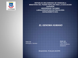 REPUBLICA BOLIVARIANA DE VENEZUELA
MINISTERIO DEL PODER POPULAR PARA LA EDUCACION
SUPERIOR
UNIVERDIDAD YACAMBU
LARALICENCIATURA EN PSICOLOGÍA
BARQUISIMETO EDO.
EL GENOMA HUMANO
Tutor (a):
Rodríguez, Xiomara
Autor (a):
Piña, María
HPS-16100072V
ED02DOV
Barquisimeto, 19 de junio del 2016
 