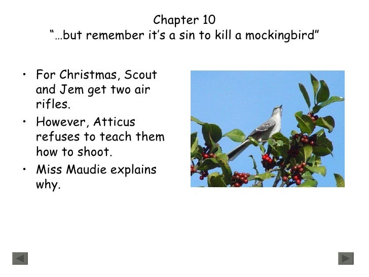 To kill a mockingbird symbolism title