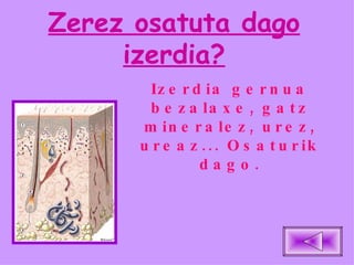 Zerez osatuta dago izerdia? Izerdia gernua bezalaxe, gatz mineralez, urez, ureaz... Osaturik dago. 