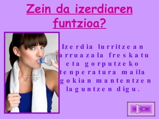 Zein da izerdiaren funtzioa? Izerdia lurritzean larruazala freskatu eta gorputzeko tenperatura maila egokian mantentzen laguntzen digu. 