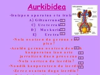 Aurkibidea -Iraizpen aparatua eta iraizketa A) Giltzurrunak Ureterrak D)  Maskuria Uretra -Nola osatzen da gernua edo pixa? -Azaldu gernua osatzen denetik kanporatua izan arte jarraitzen duen prosezua: -Nola sortzen da izerdia? -Nondik kanporatzen da izerdia? -Zerez osatuta dago izerdia? -Zein da izerdiaren funtzioa? 