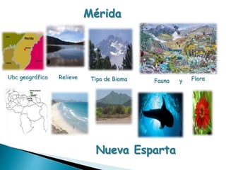 Mérida 
Ubc geográfica Relieve Tipo de Bioma Fauna y Flora 
Nueva Esparta 
 