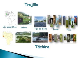 Trujillo 
Táchira 
Ubc geográfica 
Tipo de Bioma 
Relieve 
Fauna Flora 
 