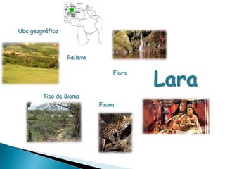 Ubc geográfica 
Relieve 
Tipo de Bioma 
Flora Lara 
Fauna 
