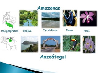 Amazonas 
Ubc geográfica Relieve Tipo de Bioma Fauna Flora 
Anzoátegui 
 