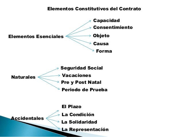 Maria rojas elementos del contrato