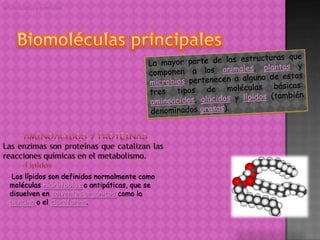 Aminoácidos y proteínas




  Los lípidos son definidos normalmente como
  moléculas hidrofobias o antipáticas, que se
  disuelven en solventes orgánicos como la
  bencina o el cloroformo.
 