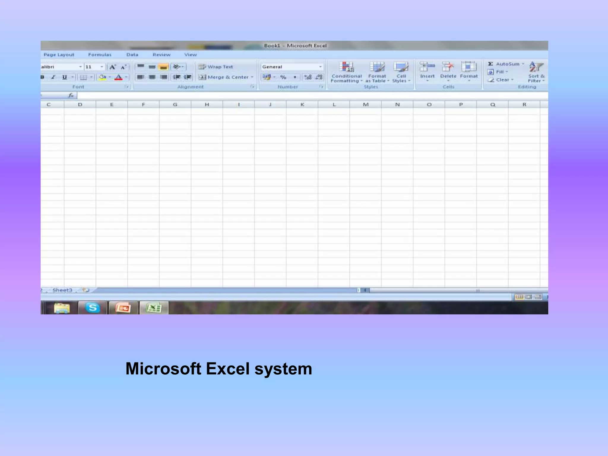 Microsoft Excel system