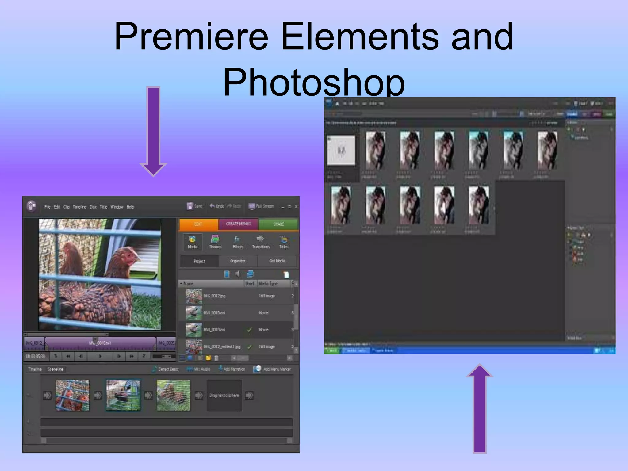 Premiere Elements and Photoshop