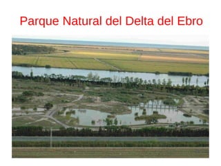 Parque Natural del Delta del Ebro 