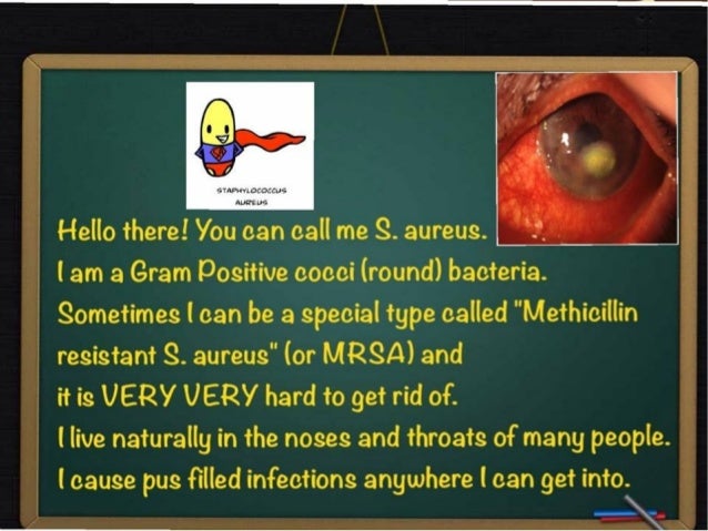How Can You Get Rid Of Mrsa Naturally How Can You Get Rid Of Mrsa Naturally