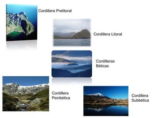 Cordillera Prelitoral

Cordillera Litoral

Cordilleras
Béticas

Cordillera
Penibética

Cordillera
Subbética

 