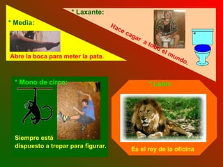 Es el rey de la oficina   * Media: * Laxante: Abre la boca para meter la pata.   * Mono de circo: Siempre está  dispuesto a trepar para figurar.   * León: Hace cagar  a todo el mundo.   