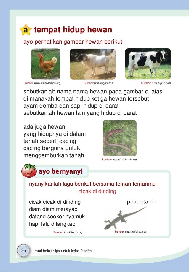 download animasi gratis gambar animasi Mari Belajar Ipa Untuk Kelas 2 Sjaeful Anwar Terkeren