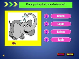 a   Badak

b   Gajah

c   Babon

d   Tapir



     Home   Next
 