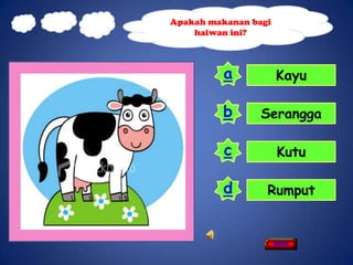 Apakah makanan bagi
    haiwan ini?



          a           Kayu

          b      Serangga

          c           Kutu

          d       Rumput


                      Home
 