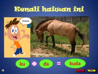 Kenali haiwan ini
 Pertama




 ku        da   kuda
                   Home   Next
 